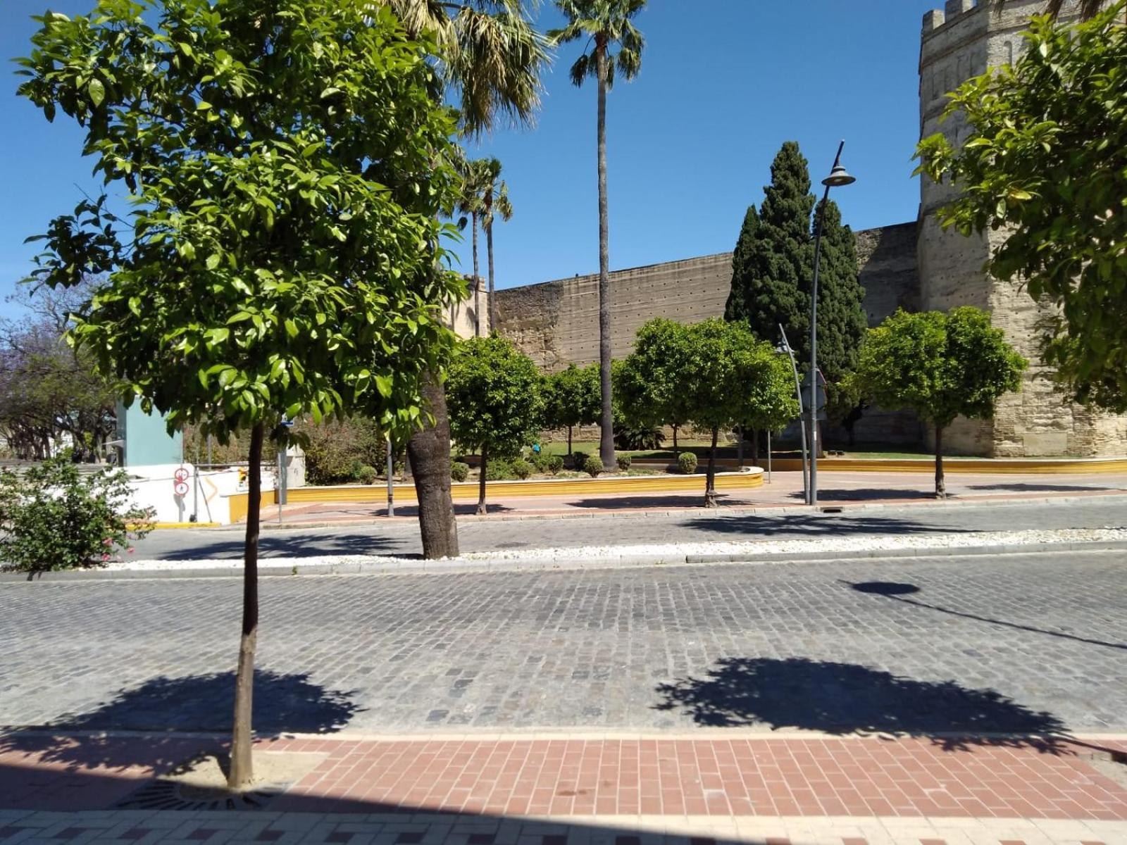 Appartement Karisma Alcazar à Jerez de la Frontera Extérieur photo
